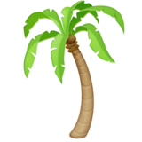 🌴 Emoji (Palm Tree)