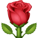 🌹 Emoji (Rose)
