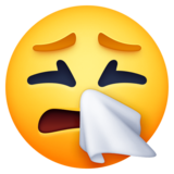🤧 Emoji (Sneezing face)