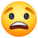 😟 Emoji (Worried face)
