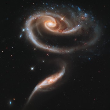 Hubble schenkt sich zum 21. Geburtstag eine «Rose aus Galaxien»
